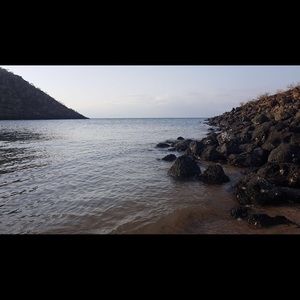 Meet your Posher, Abdul